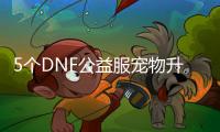 5个DNF公益服宠物升级小技巧