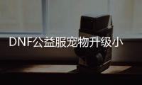 DNF公益服宠物升级小技巧指南