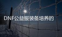 DNF公益服装备培养的8个必备知识