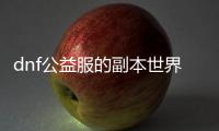 dnf公益服的副本世界