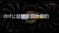 dnf公益服徽章升级的秘密技巧